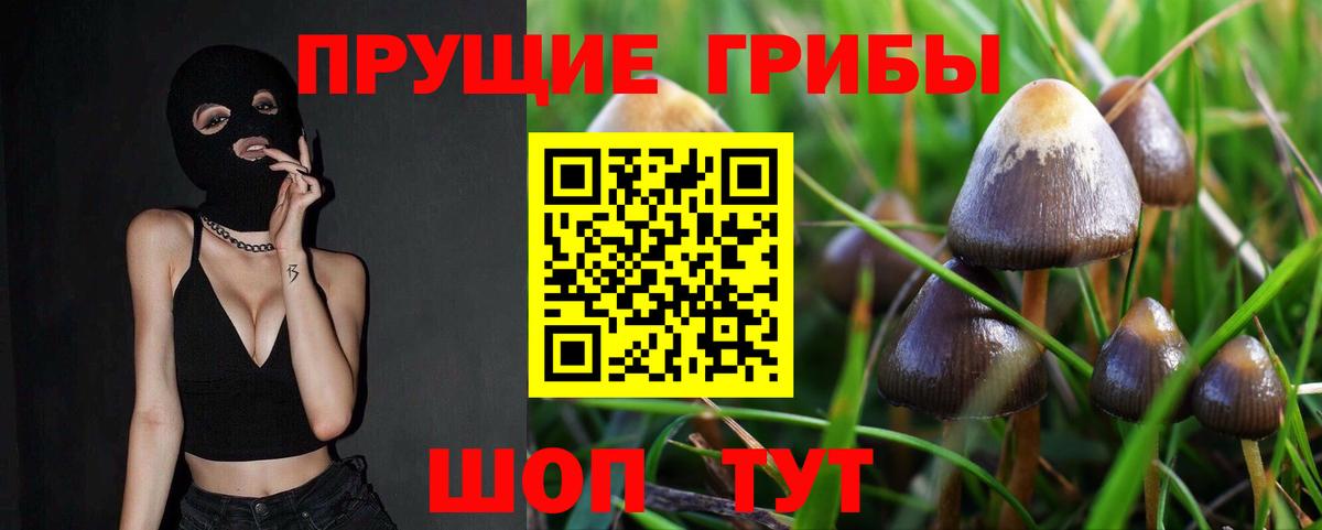 Мелеуз  Псилоцибиновые грибы Cubensis  Вход с VPN 